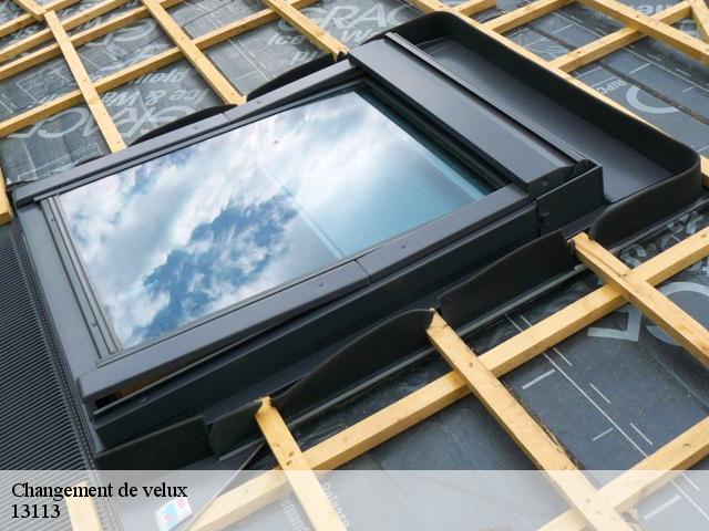 Changement de velux  13113